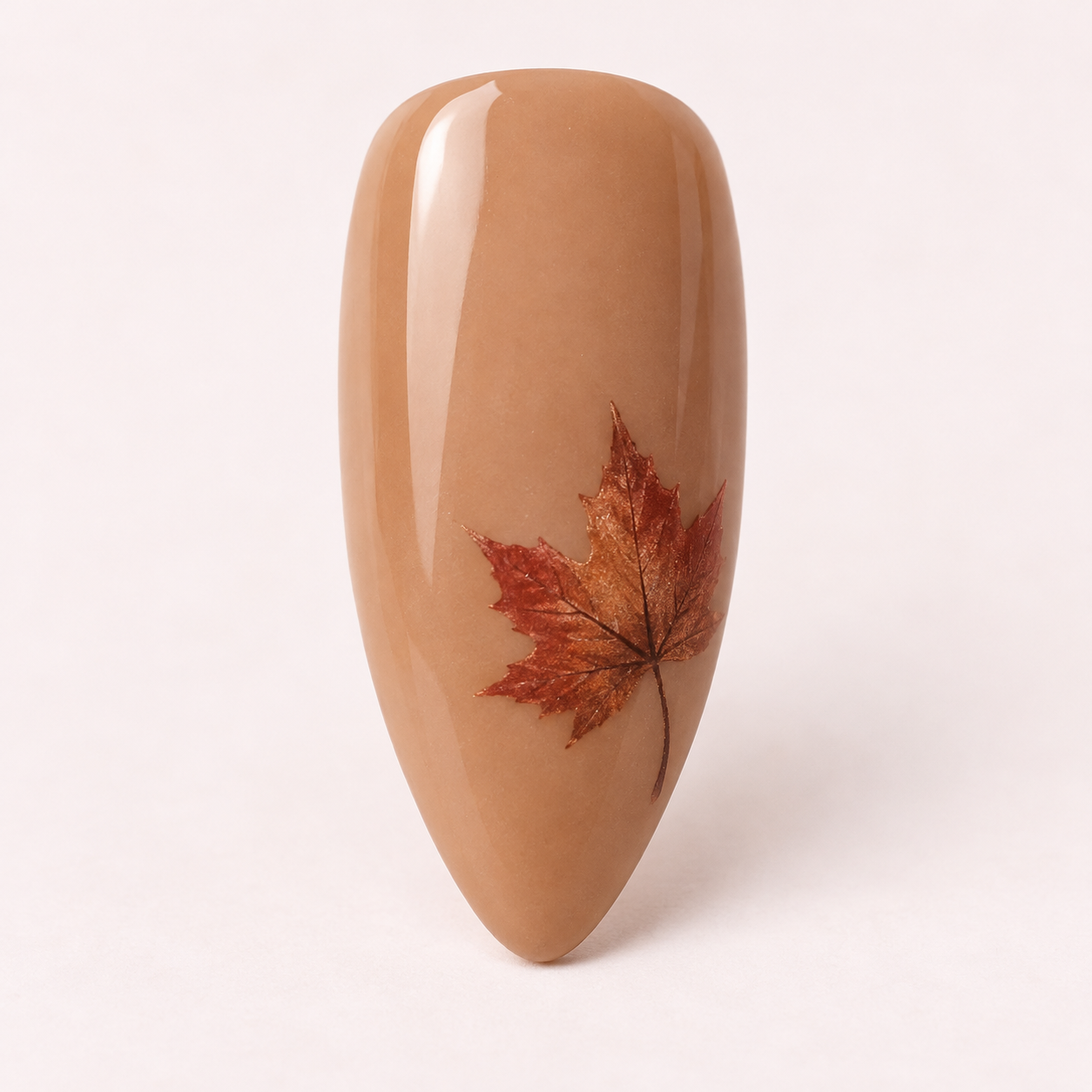 One Autumn Maple